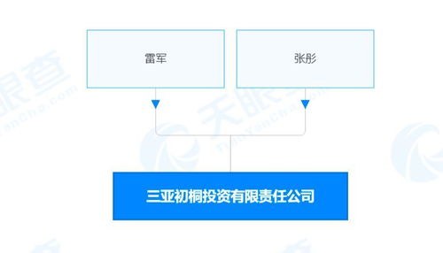 社会经济咨询服务的战略价值与实践路径